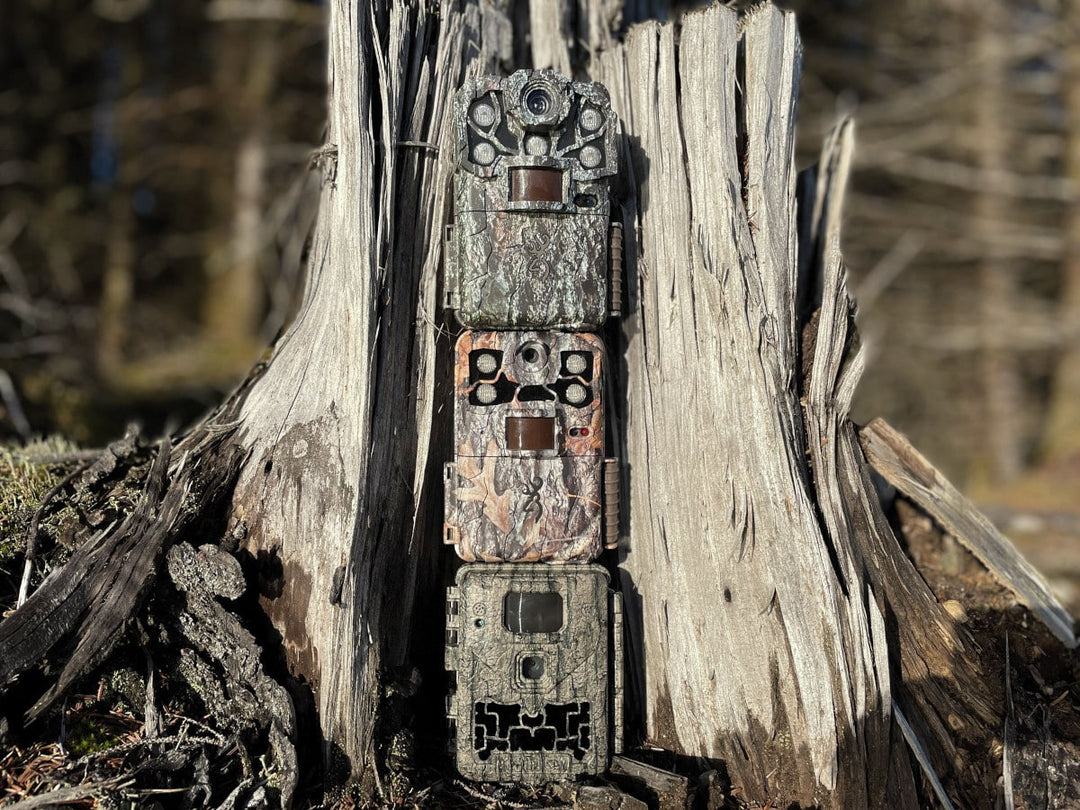 5 Reasons to Invest in a High-Quality Trail Camera