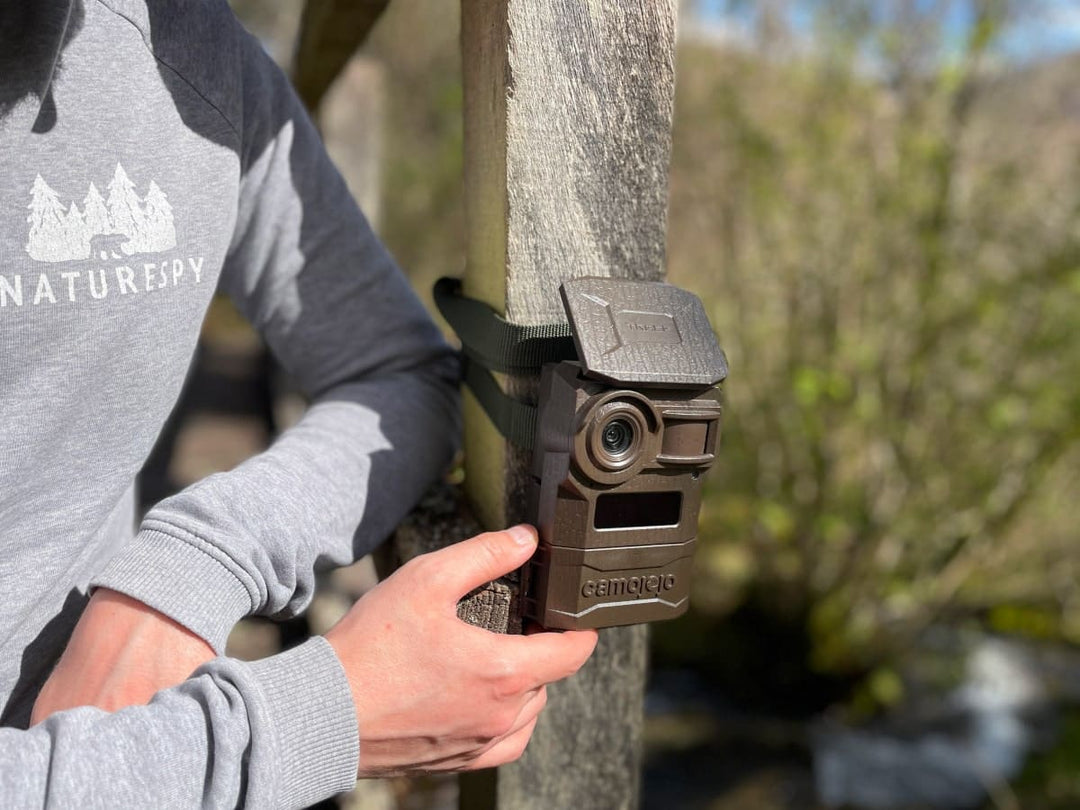 Best Settings & Top Tips for the Camojojo Trace 4G Trail Camera