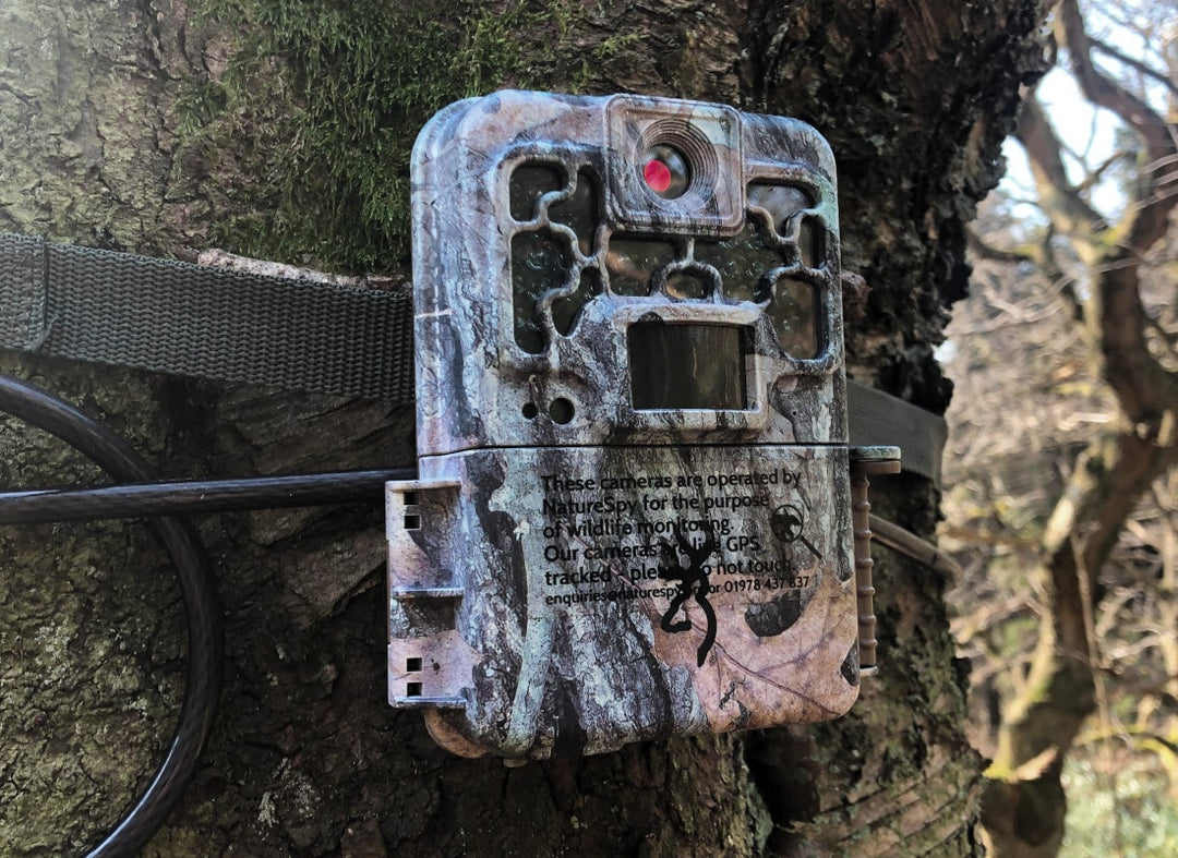 7 Tips for Preventing Trail Camera Theft