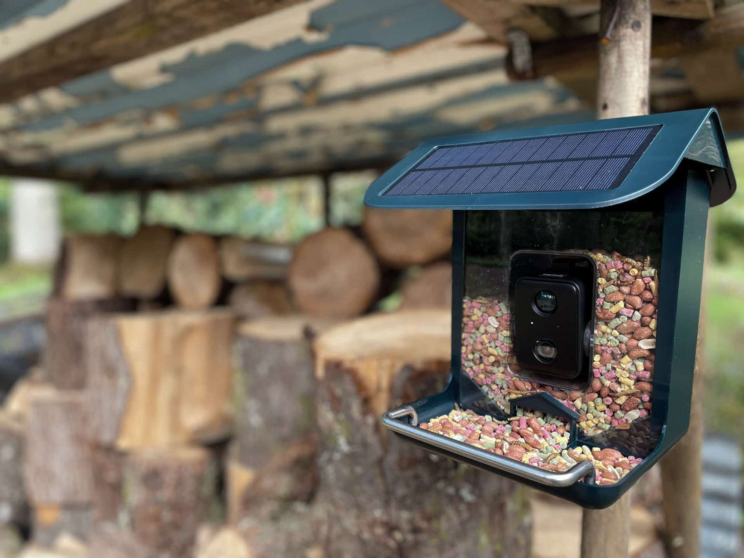 How to Set Up Our Bird Feeder Camera; the WiFi BirdCam Pro