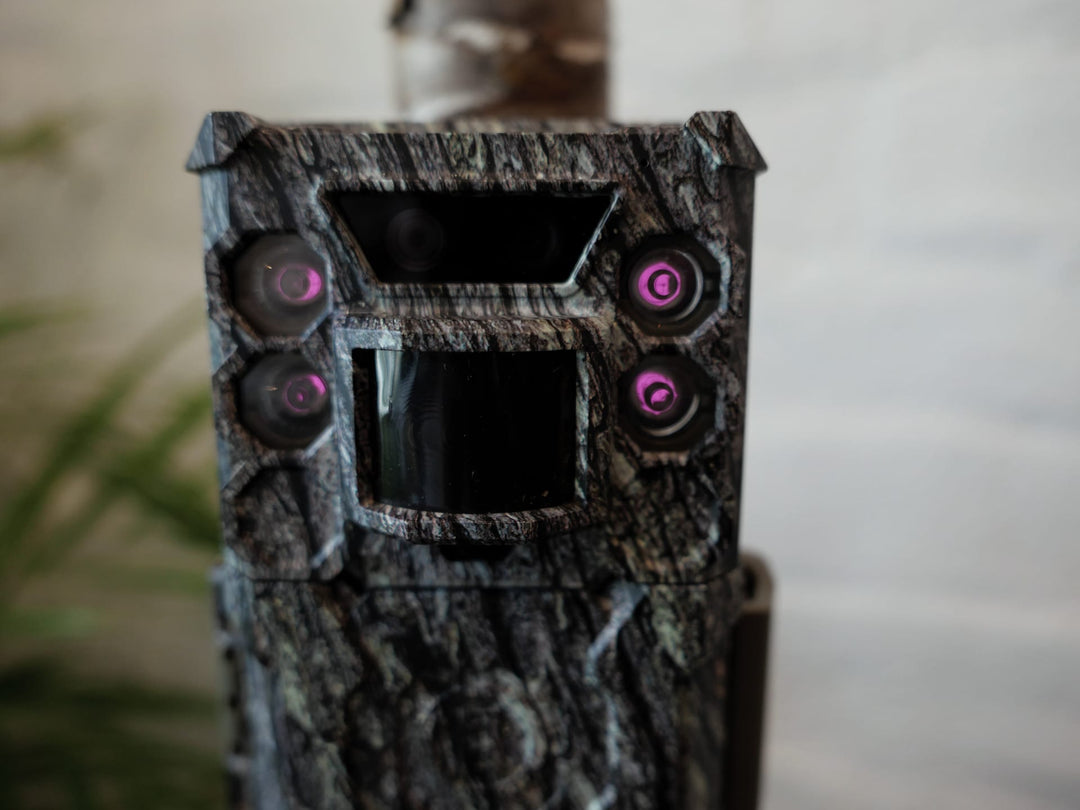 LEDs: No Glow or Low Glow?