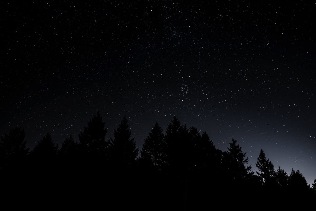 Why is my wildlife camera taking short videos at night?