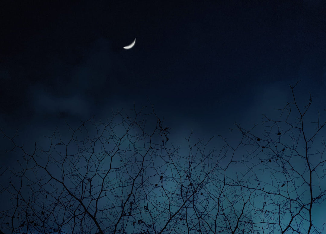 Why is my trail camera not working at night?