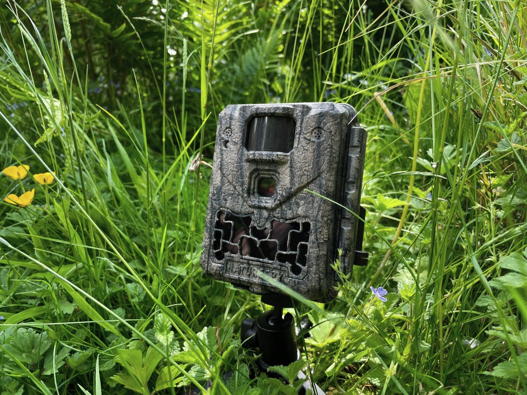 Avoid These 5 Common Mistakes When Using Trail Cameras
