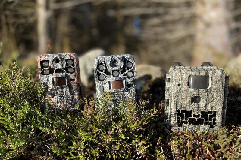 Caught in the act: Tackling wildlife crime with trail cameras and thermal imaging