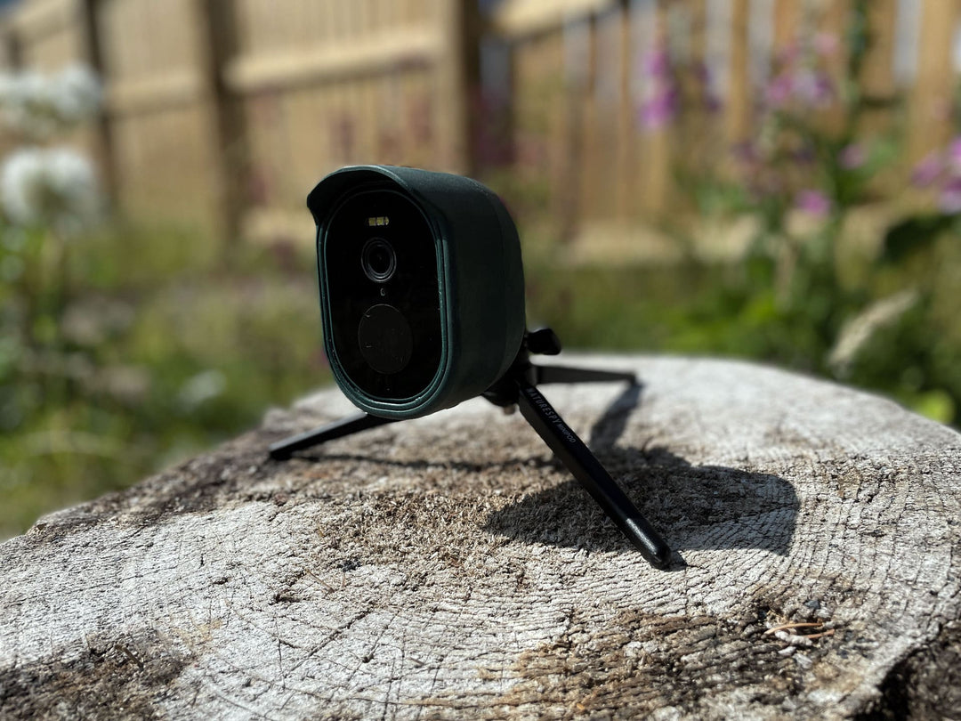 The Best Garden Wildlife Cameras in 2025