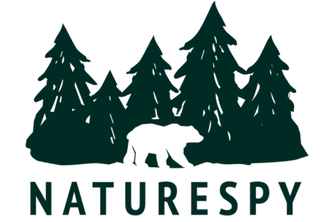 NatureSpy Logo